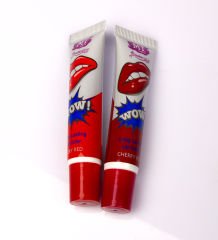 eJOYA Kişiye Özel Ayna & Kalıcı Ruj & Dudak Şişirici Lip Gloss & Oje & Dudak Maskesi Kozmetik Hediye Kutusu 110913