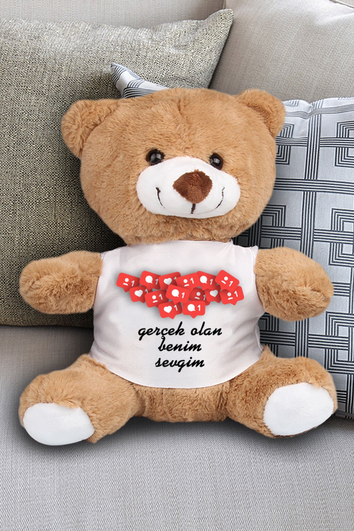 eJOYA Gerçek Olan Benim Sevgim Temalı Peluş Ayıcık 23 cm 82207